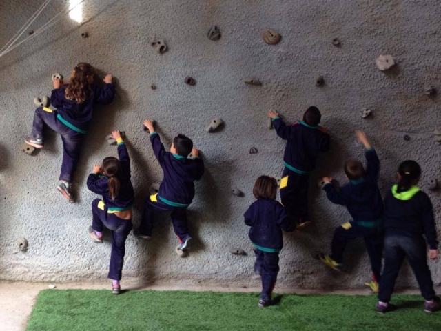 Escalando en rocodromo